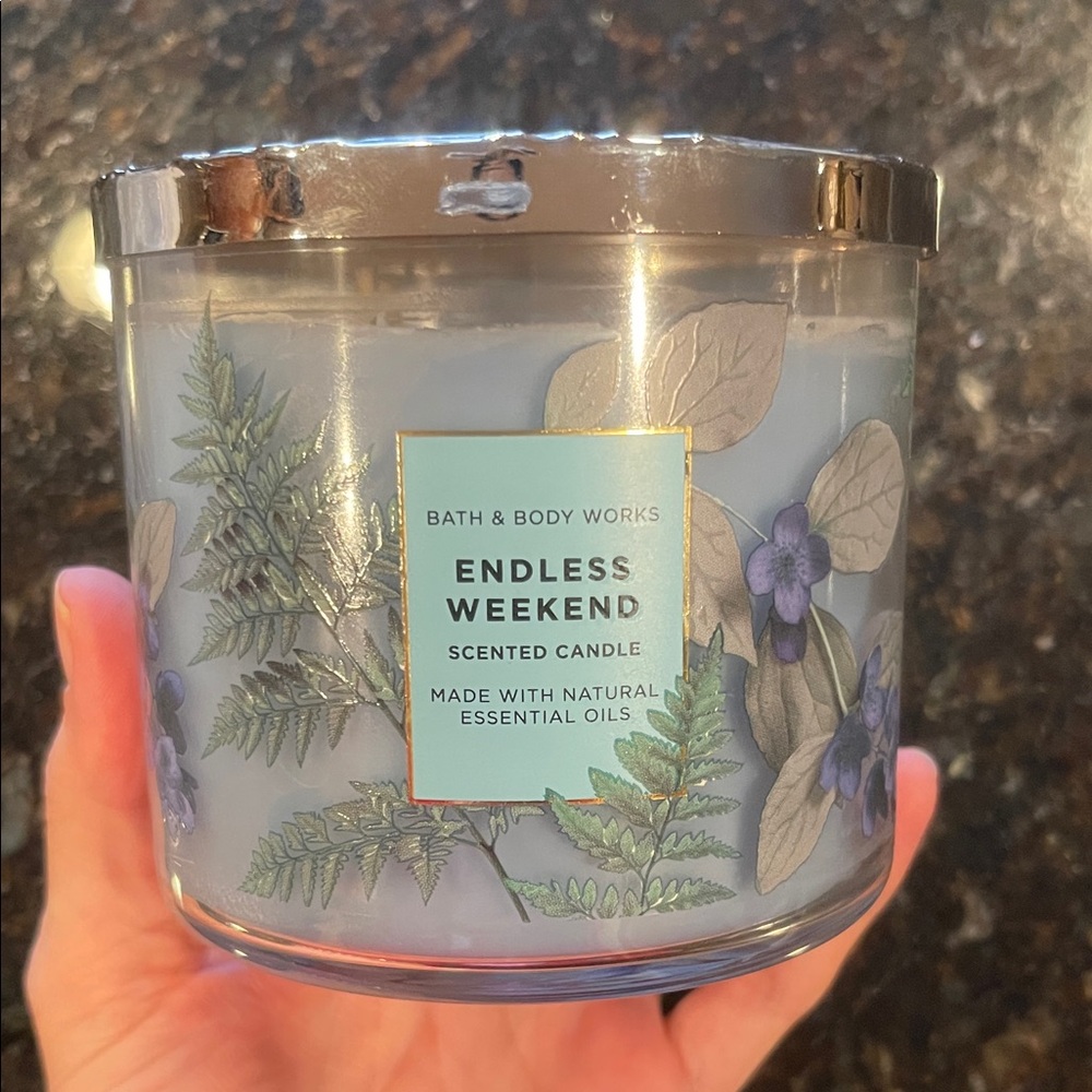 Bath & Body Works Endless Weekend Candle - Silver and Green
